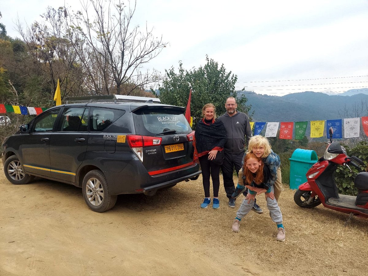 Maxi Taxis in Melbourne: A Safe and Reliable Choice for Families